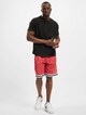 Small Signature Pinstripe-5