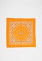 orange_5839