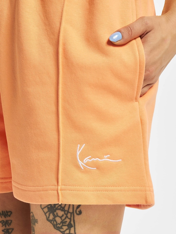Karl Kani Small Signature Sweat Shorts-4