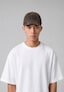 brown_207294