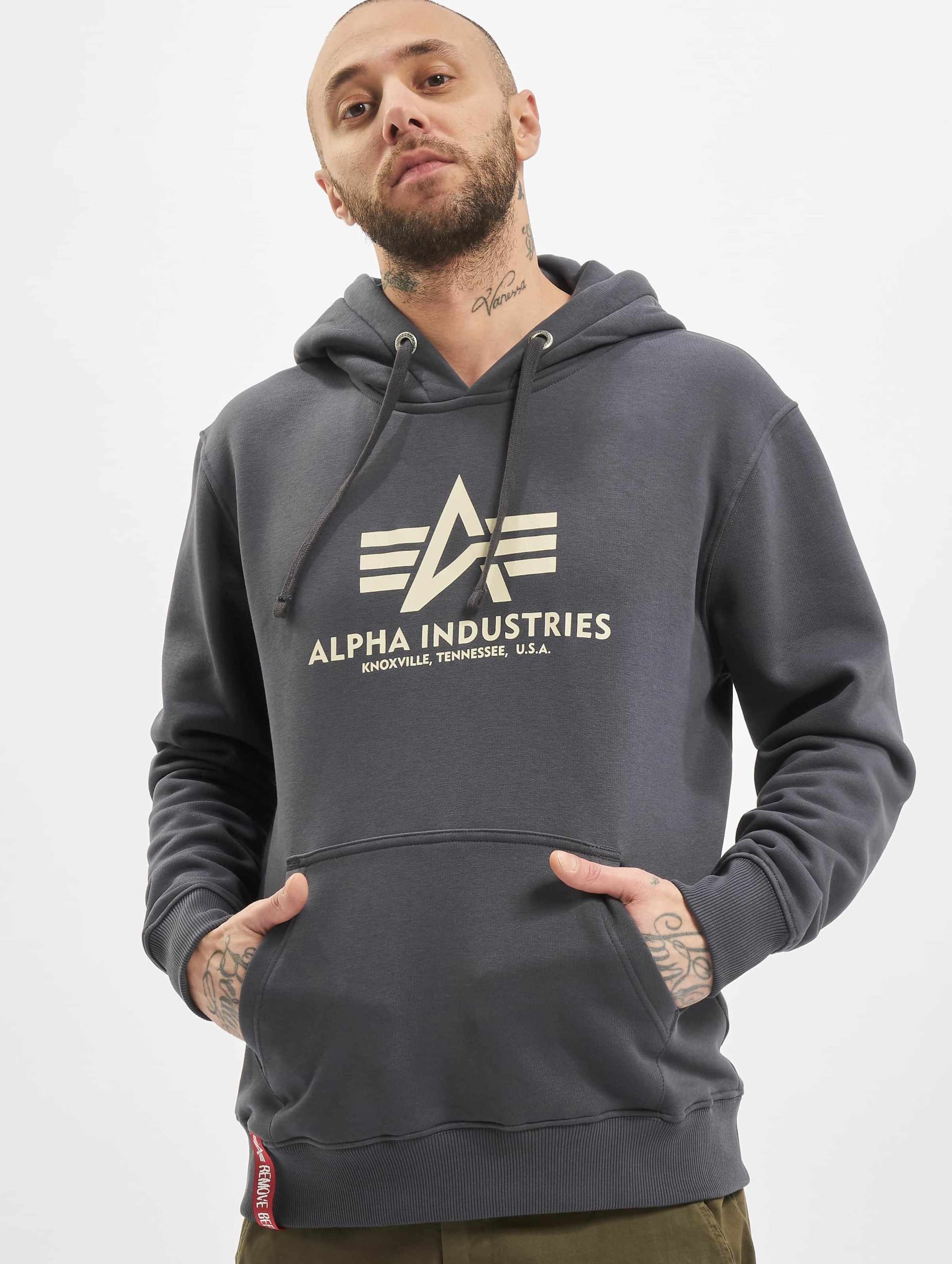 Alpha industries deals hoodie grey