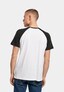 white_36942