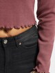 Kitty Cropped-3