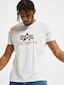 white_86896