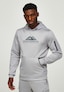 grey_187358