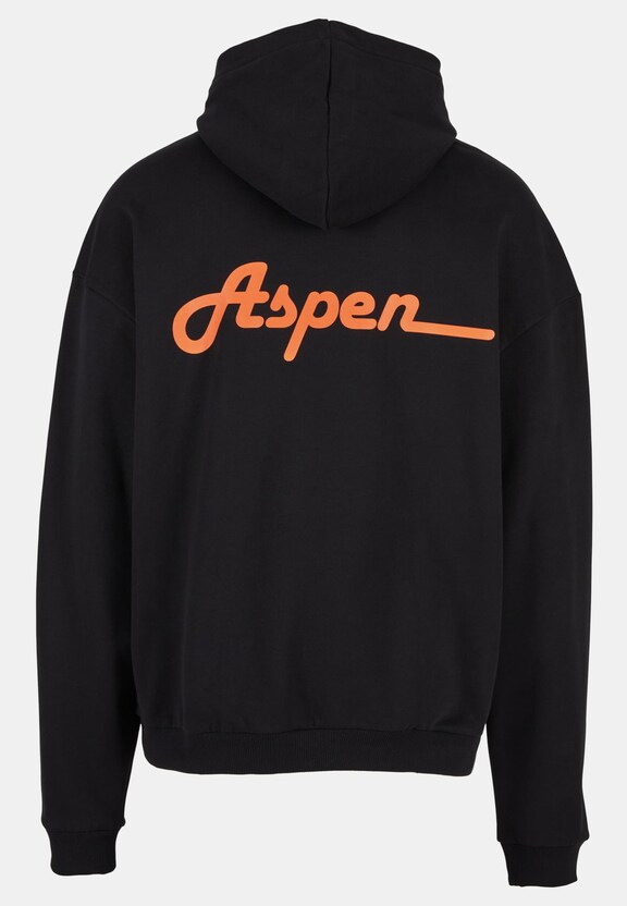 Aspen-3