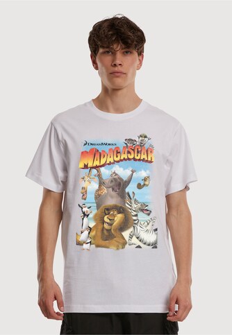 Madagascar Distressed 