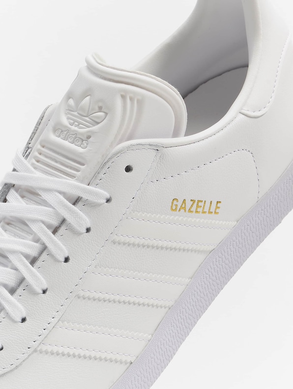 Gazelle -7