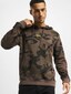 camouflage_18399