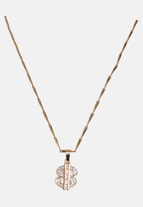 Small Dollar Necklace-0