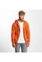 orange_9110