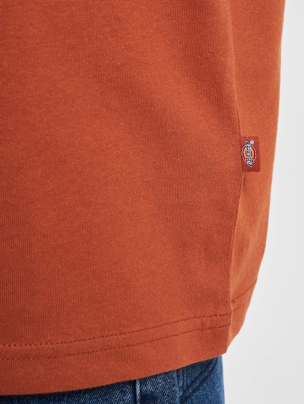 Dickies Summerdale T-Shirt-4