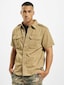 brown_38191