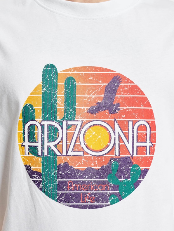 American Life Arizona-3