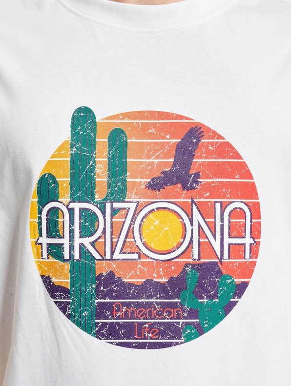 American Life Arizona-3