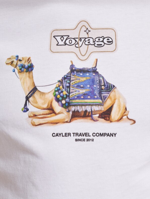 Cayler & Sons Voyage T-Shirt-3