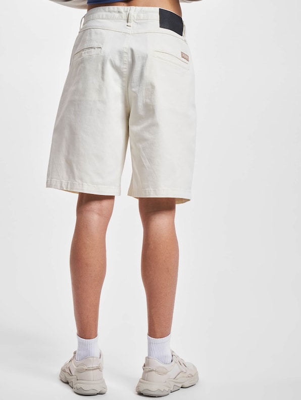 Pegador Cielo Chino Shorts-1