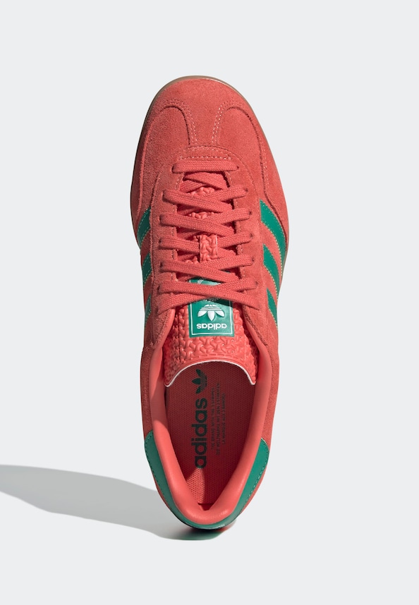 Gazelle Indoor-5