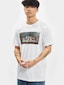 white_18872