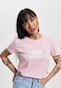 rose_103363