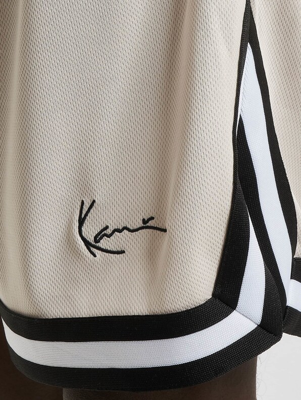 Small Signature Essential Mesh -3