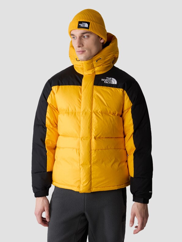 The North Face Hmlyn Down Parkas-2