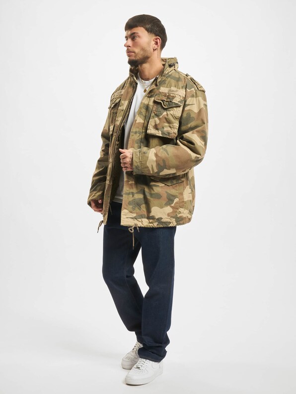 M65 Giant -9