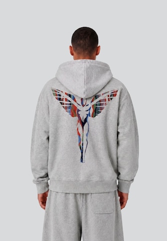 Ikarus Backprint
