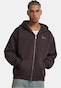 brown_153179