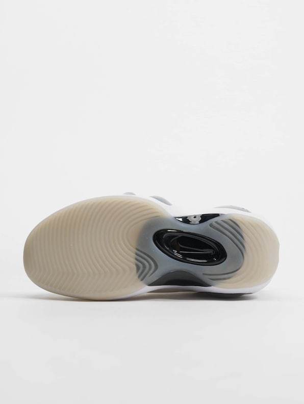 Air Zoom Flight 95-6