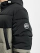 Puffer -3