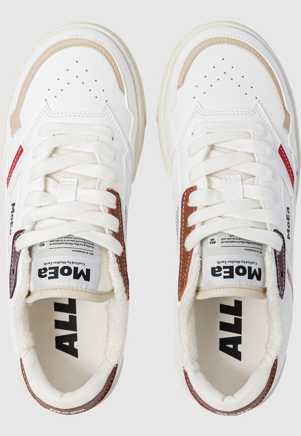 GEN9 - CORN ALL-IN TERRA-1