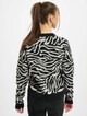 Ladies Short Tiger-1