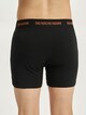 Fitz Colour Logo Trunk 3 Pack-8