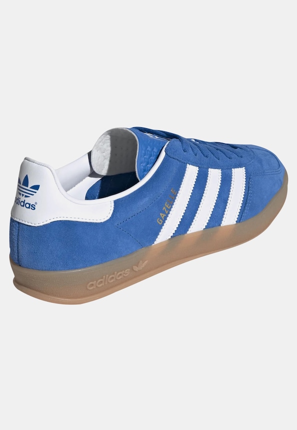 Gazelle Indoor-1