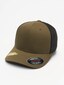 olive_41448