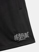 Classic Label Mesh Shorts-3