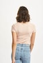 rose_51900