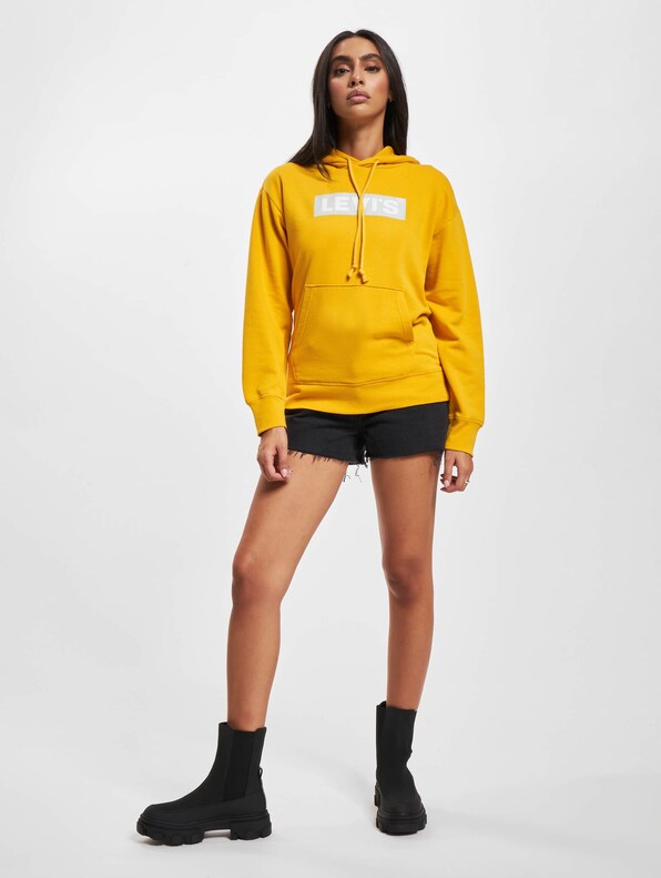 Levis Graphic Standard Hoodie-6
