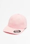 rose_70028