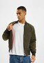 olive_95687