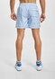 blue_29346