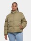 olive_104215