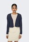 blue_144073