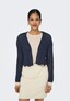 blue_144073