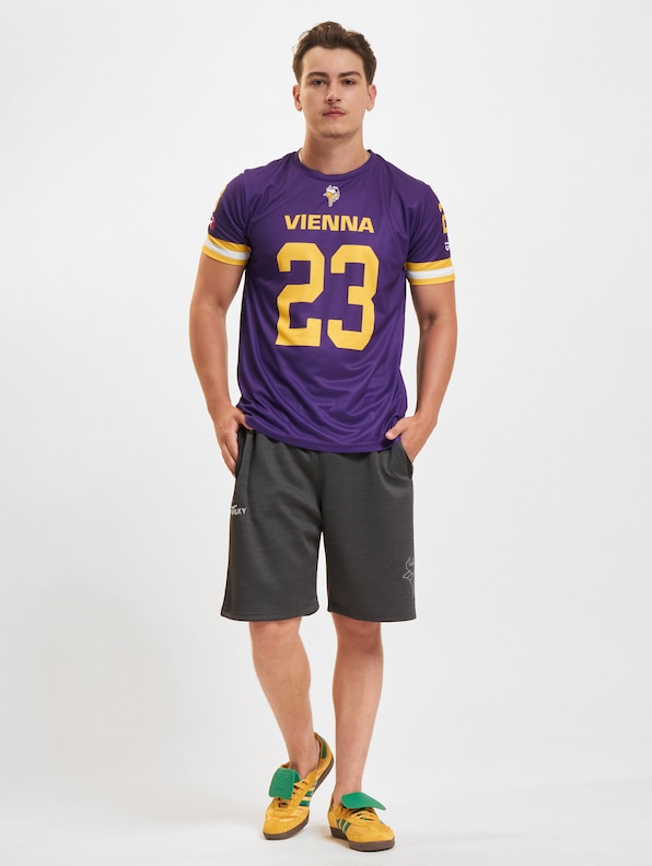 Vienna Vikings Fan-8