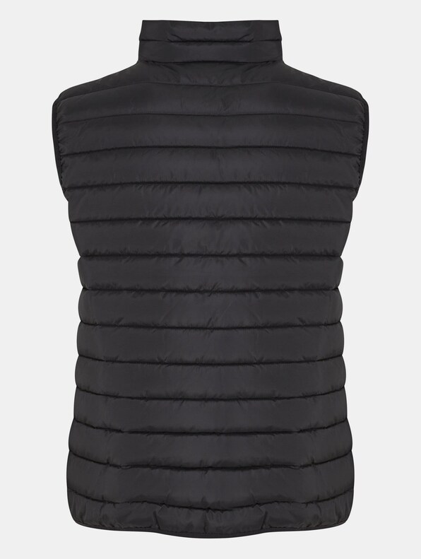 Basic Light Weigh -5