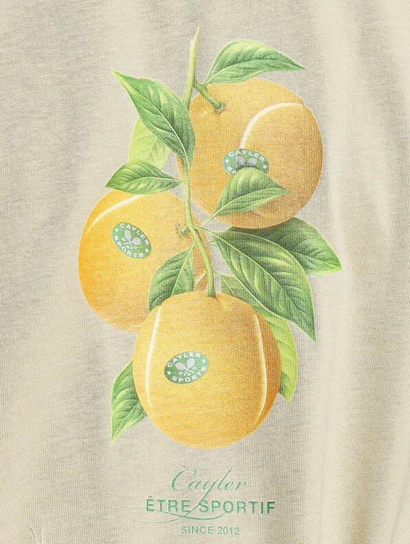Vitamine Tennis-4
