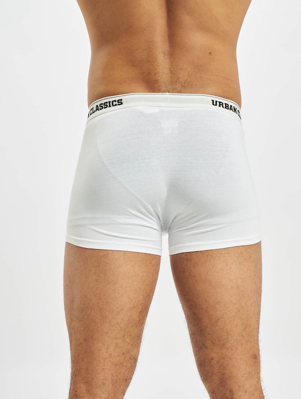 Organic Boxer Mix 3-Pack -2