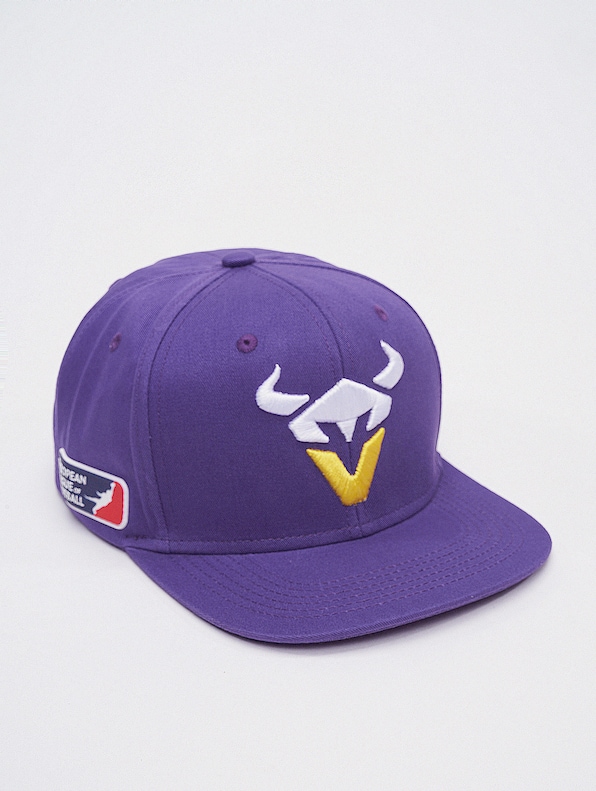 Vienna Vikings-1